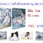 (แยกเล่ม) วายร้ายโฉมสะคราญ เล่ม 2