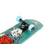 Welcome Teddy Teal 7.75" Complete Skateboard