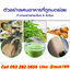 เครื่องกำจัดเศษอาหาร ถังกำจัดเศษอาหาร เครื่องกําจัดขยะเศษอาหาร เครื่องปั่นเศษอาหาร ถังหมักเศษอาหาร เครื่องปั่นเศษอาหาร เครื่องทำลายเศษอาหาร Vleaf Composter Food Waste Composter