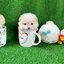 ปอมเมอเรเนี่ยนแท้มินิทีคัพ จิ๋วๆ ลูกสาว White cream mini teacup female