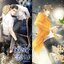 (แยกเล่ม) เทียนซือ ภาค 3 เล่ม 1 - 7