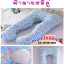 พรีออเดอร์ หมอนคนท้อง น่ากอดสุดๆ สีฟ้าลายหมีคู่ส่งฟรี ด่วนEMS
