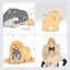 (เปิดจอง) หมาป่าผู้เก็บบางสิ่งมา เล่ม 1 พิมพ์ 2 : ฟาไฉ (จัดส่งปลายเดือน พ.ย.65)