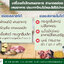 เครื่องกำจัดเศษอาหารให้เป็นปุ๋ย Vleaf รุ่นรับน้ำหนัก 1-2 กก. ถังกำจัดเศษอาหาร เครื่องกําจัดขยะเศษอาหาร เครื่องปั่นเศษอาหาร เครื่องกําจัดเศษอาหารเป็นปุ๋ย ถังหมักเศษอาหาร 1-2 Kg Vleaf Composter Food Waste Composter
