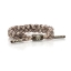 Rastaclat Java