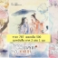 วีรกรรมเปลี่ยนนางร้ายให้เป็นจอมนาง ภาค 1 + ภาค 2 รวม 3 เล่ม : เสวี่ยเฟิ่ง