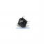 TC0103X : TACT SWITCH 6x6x5mm