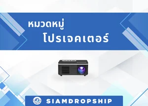 โปรเจคเตอร์