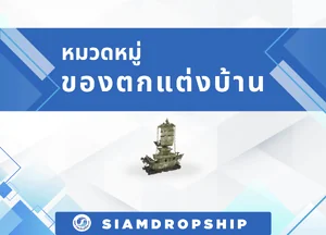ของตกแต่งบ้าน
