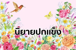 นิยายปกแข็ง
