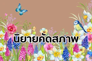 นิยายคัดสภาพ