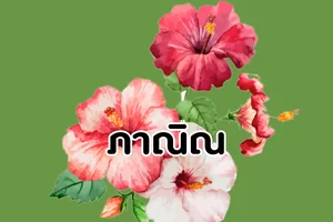 ภาณิณ