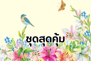 ชุดสุดคุ้ม