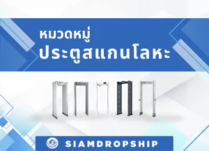 เครื่องตรวจจับโลหะแบบเดินผ่าน
