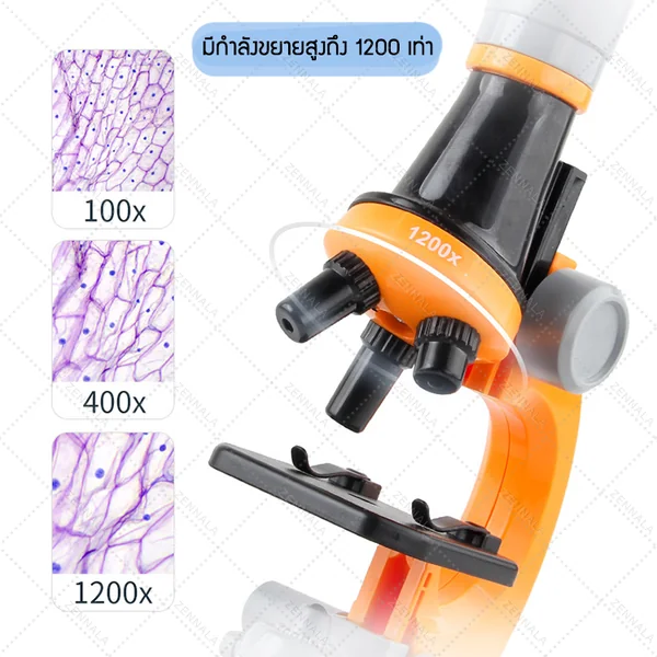กล้องจุลทรรศน์ตาเดียว 1200X (สำหรับเด็ก) image 6