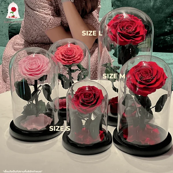 กุหลาบสดในโหลแก้ว 3 ขนาด Size S, M, L พร้อมกล่องสุด Premium image 10 กุหลาบสดในโหลแก้ว 3 ขนาด Size S, M, L พร้อมกล่องสุด Premium image 10