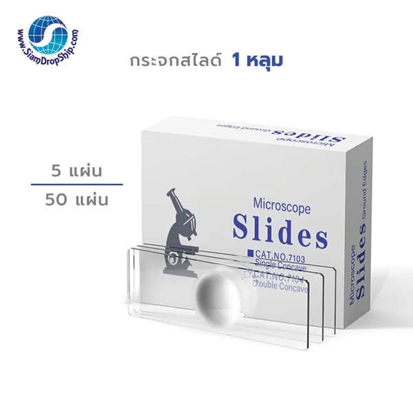 อุปกรณ์ชีววิทยา - เคมี กระจกสไลด์ Microscope แบบ 1 หลุม Single Concave
